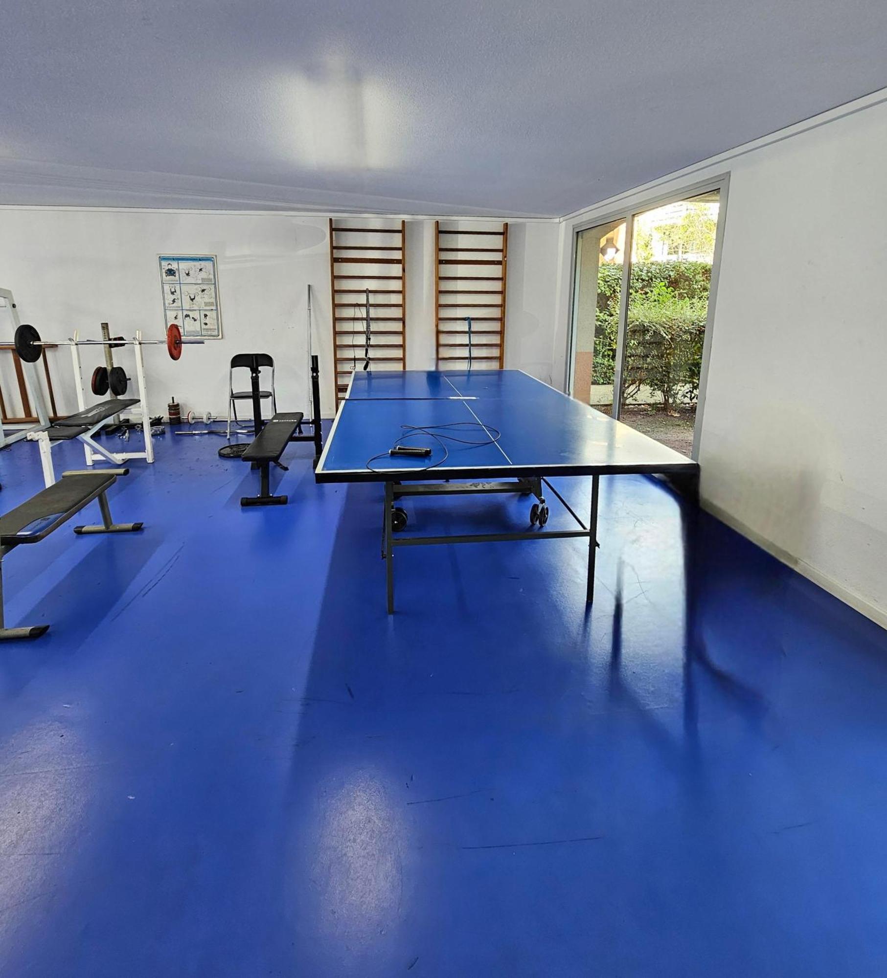 T2 Havre De Paix 2 A 4 P - Terrasse - Parking - Piscine - Salle Sport - Tennis 圖盧茲 外观 照片